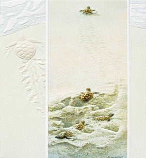 BD/Finding the Way