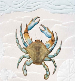 BD/Blue Crab