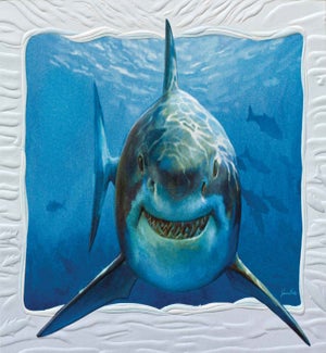 BD/Smiley Shark
