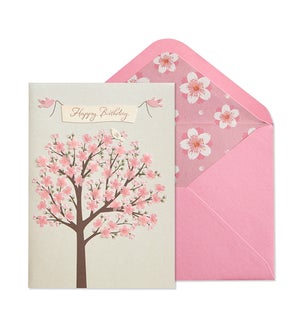 BD/Cherry Blossom Tree