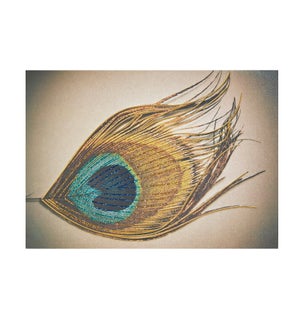 BL/Peacock Feather