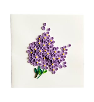 BL/Lilac