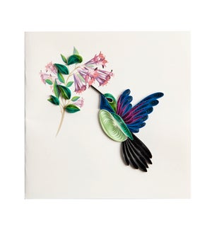 BL/Hummingbird