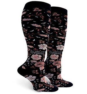 SOCK/Dumbfuckery To A Min