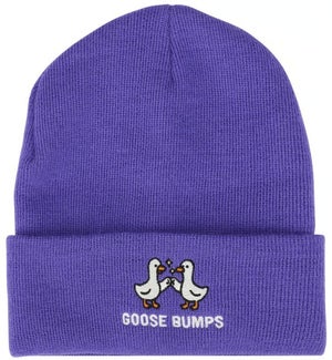 BEANIE/Goose Bumps