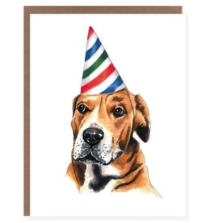 BD/Party Hat Dog