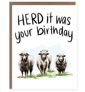 BD/Herd Birthday