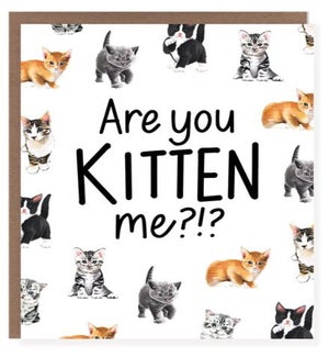 ED/Kitten Me
