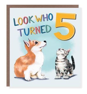 ABD/Look Who Turned Five