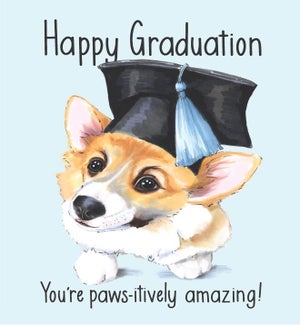GR/Graduation Corgi