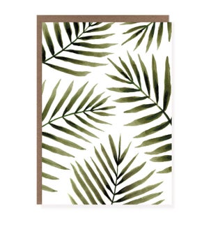 ED/Palm Leaf