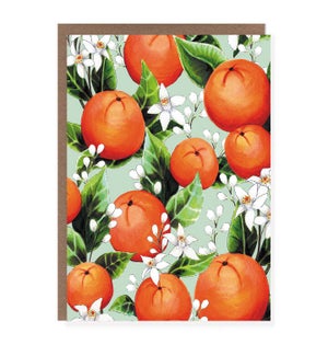 ED/Orange Blossom
