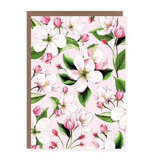 ED/Apple Blossom