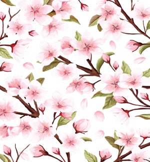 ED/Cherry Blossom