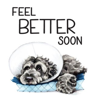 GW/Dog Cone Feel Better Soon
