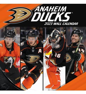 TWCAL/Anaheim Ducks