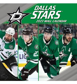 TWCAL/Dallas Stars