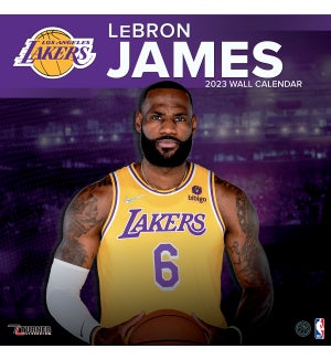 PLRWCAL/LA Lakers Lebron James