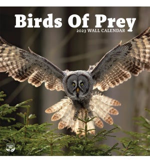 CALENDAR/Birds Of Prey