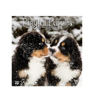 MINICALENDAR/Playful Puppies