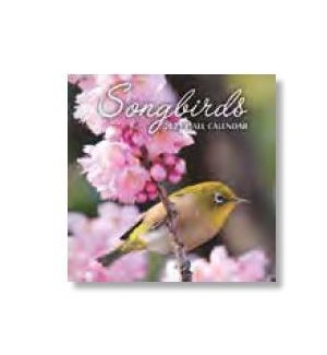 MINICALENDAR/Songbirds