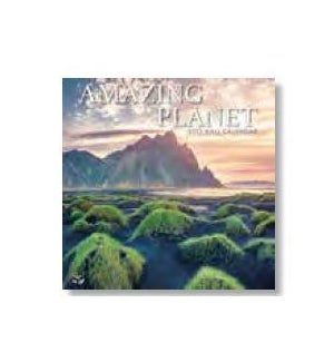 MINICALENDAR/Amazing Planet