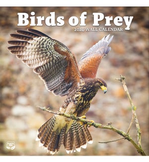 CALENDAR/Birds Of Prey