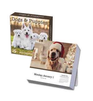BOXCALENDAR/Dogs & Puppies