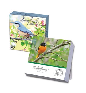 BOXCALENDAR/Songbirds
