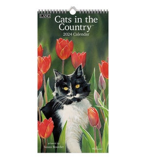 VRTWCAL/Cats in the Country