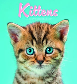 MINICALENDAR/Kittens