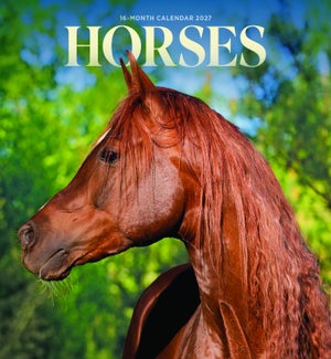 MINICALENDAR/Horses