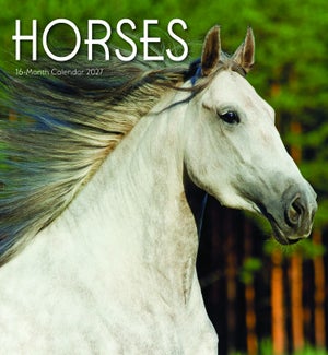 CALENDAR/Horses