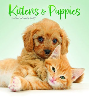 MINICALENDAR/Kittens Puppies