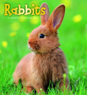 CALENDAR/Rabbits