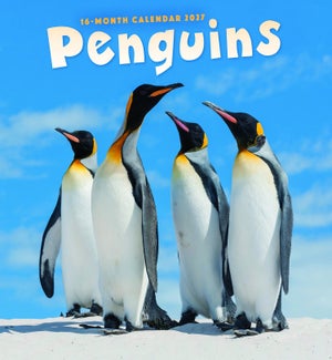 CALENDAR/Penguins
