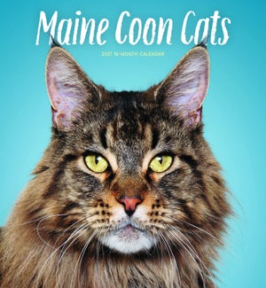 CALENDAR/Maine Coon