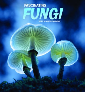 CALENDAR/Fascinating Fungi