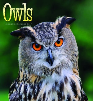 CALENDAR/Owls