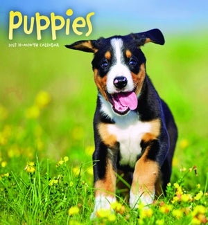 CALENDAR/Puppies