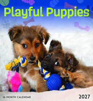MINICALENDAR/Playful Puppies