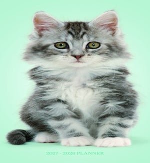 2YRPLANNER/Kittens