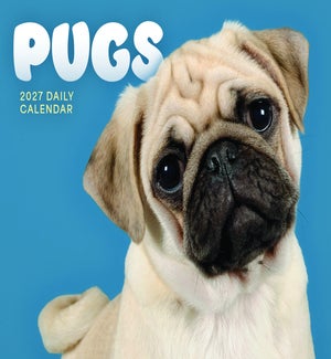 BOXCALENDAR/Pugs Box