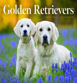 BOXCALENDAR/Goldens Retrievers