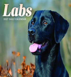 BOXCALENDAR/Labs Box
