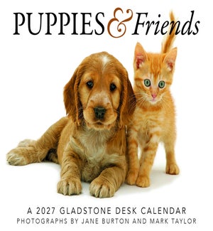 BOXCALENDAR/Puppies & Friends
