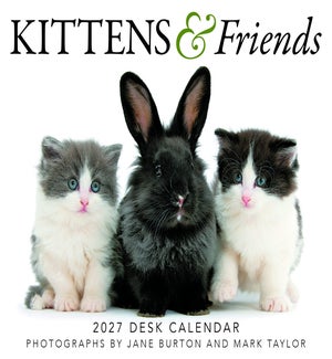 BOXCALENDAR/Kittens & Friends