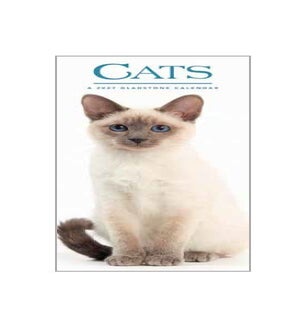 VERTICAL/Cats