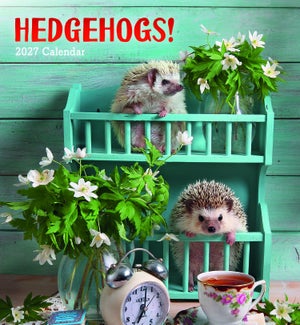 CALENDAR/Hedgehogs!