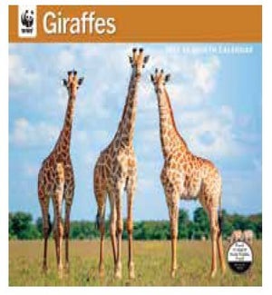 CALENDAR/WWF Giraffes